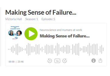 Podcast 5 - Making Sense of Failure